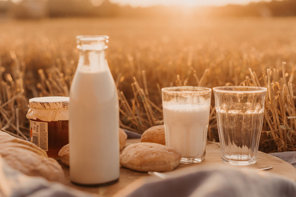 Ist Milch gesund oder ungesund? Das klären wir hier | StrongMonkey
