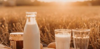Ist Milch gesund oder ungesund?